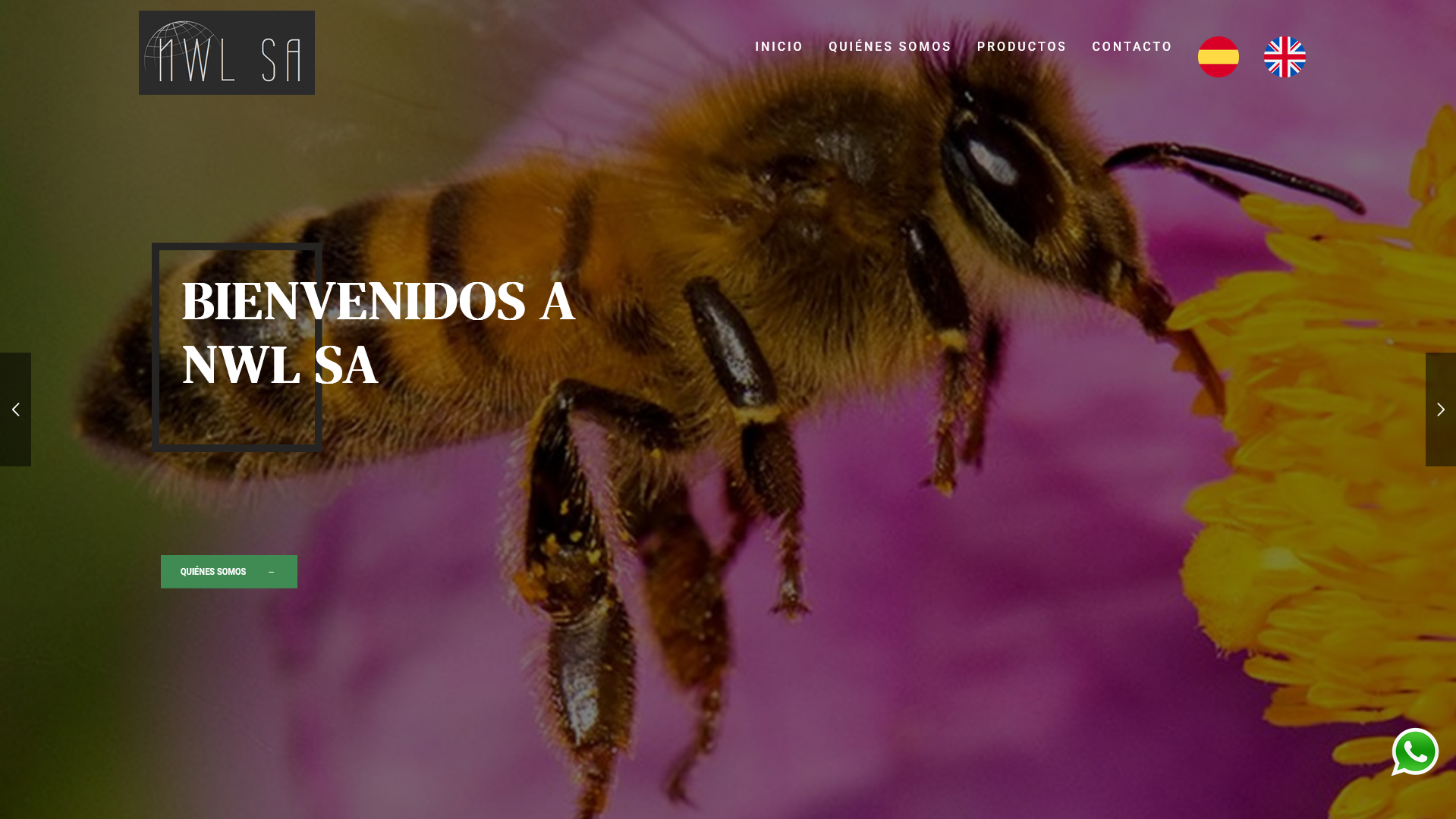 nwlsa.ar